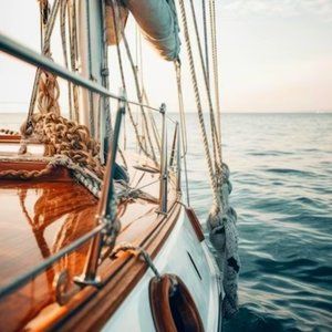 Meet your Posher, Maddie